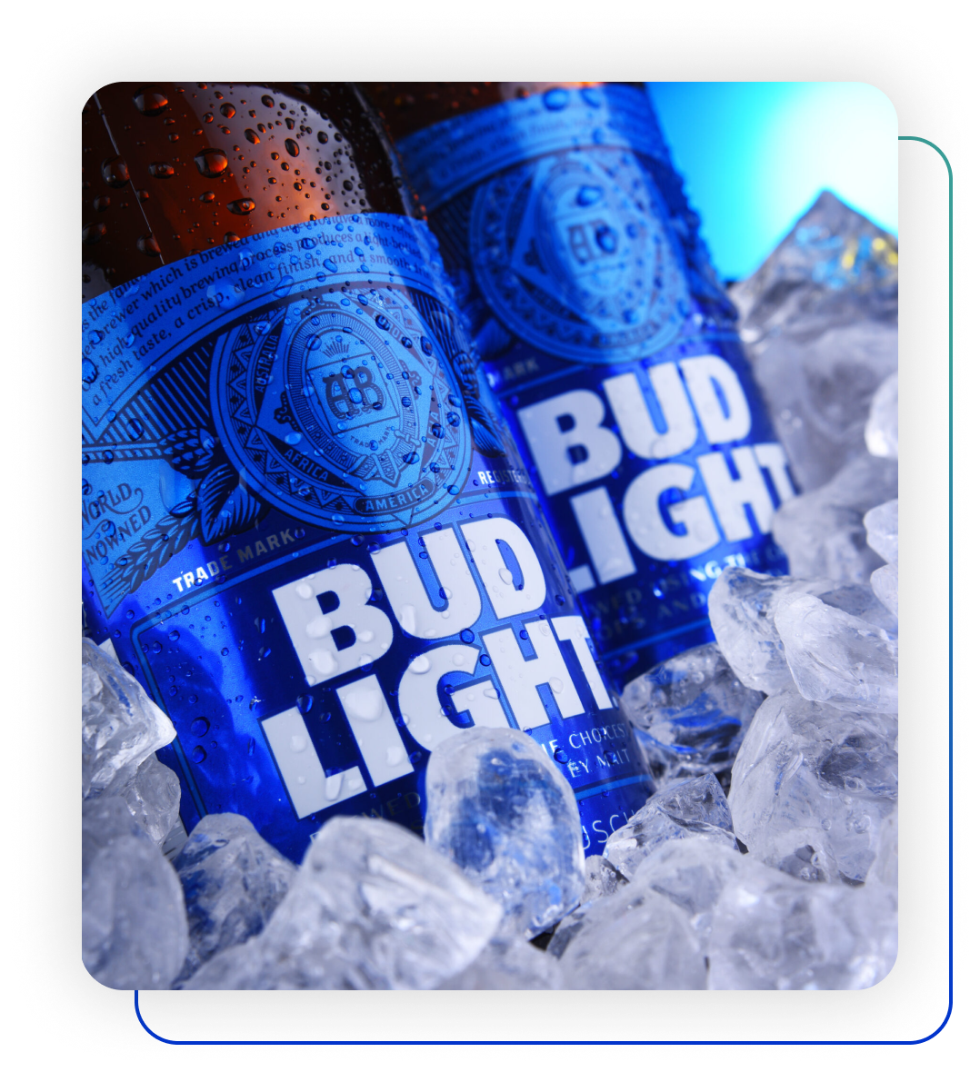 Bud Light Image